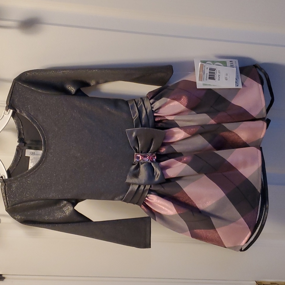 Bonnie Jean 2T grey and pink dress NWT